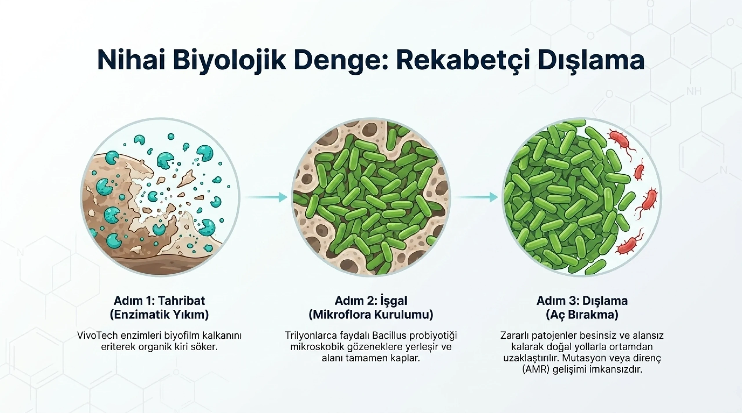 Probiyom, probiyotik bazlı ürünlerin çalışma şekli, mekanizması, probiyotikler nasıl çalışır, nası temzilik yapar, 72 saat canlı kalırlar