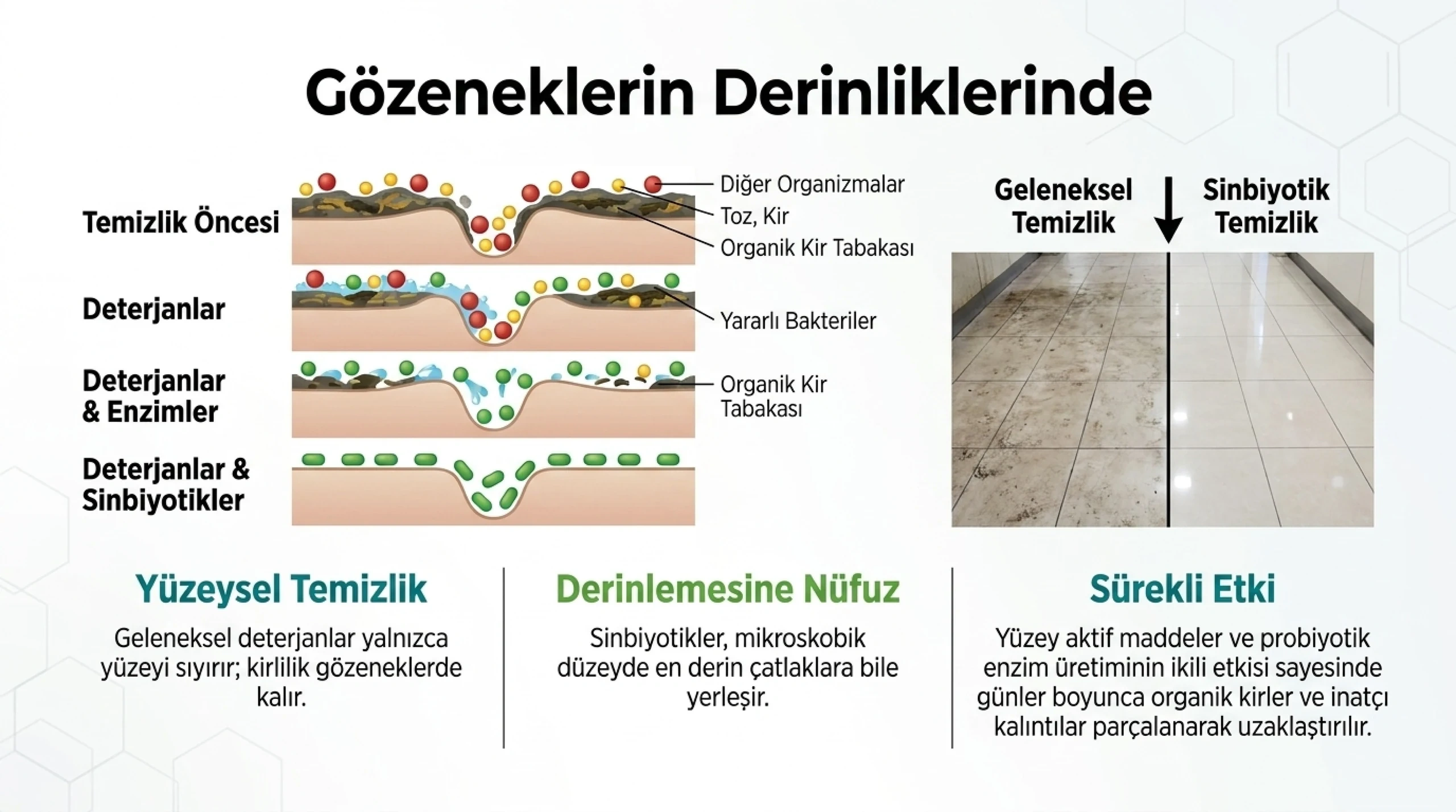 Probiyom, probiyotik bazlı ürünlerin çalışma şekli, mekanizması, probiyotikler nasıl çalışır, nası temzilik yapar, 72 saat canlı kalırlar