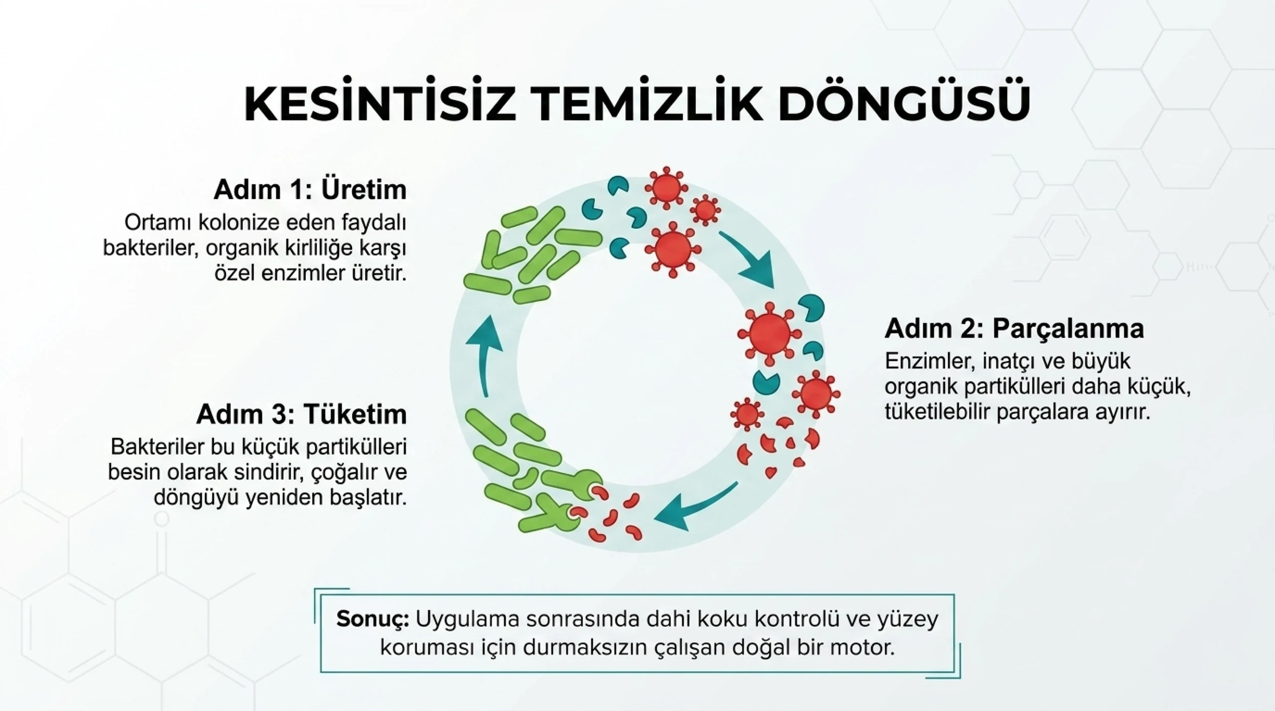 Probiyom, probiyotik bazlı ürünlerin çalışma şekli, mekanizması, probiyotikler nasıl çalışır, nası temzilik yapar, 72 saat canlı kalırlar